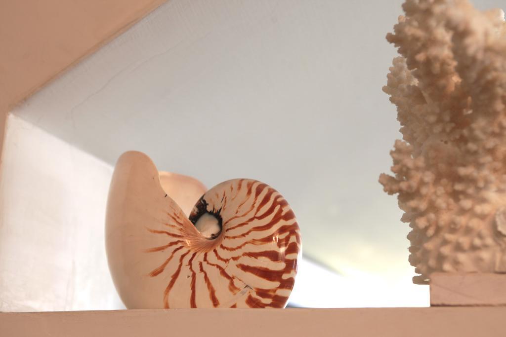 Nautilus Hotel Riccione Eksteriør billede